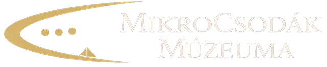 Mikrocsodák Múzeuma