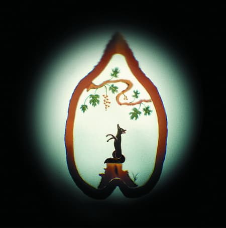 A róka és a szőlő