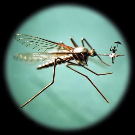 A párhuzamos világ